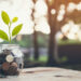 Plant on pile coins in the bottle, Money growing concept and the goal success.